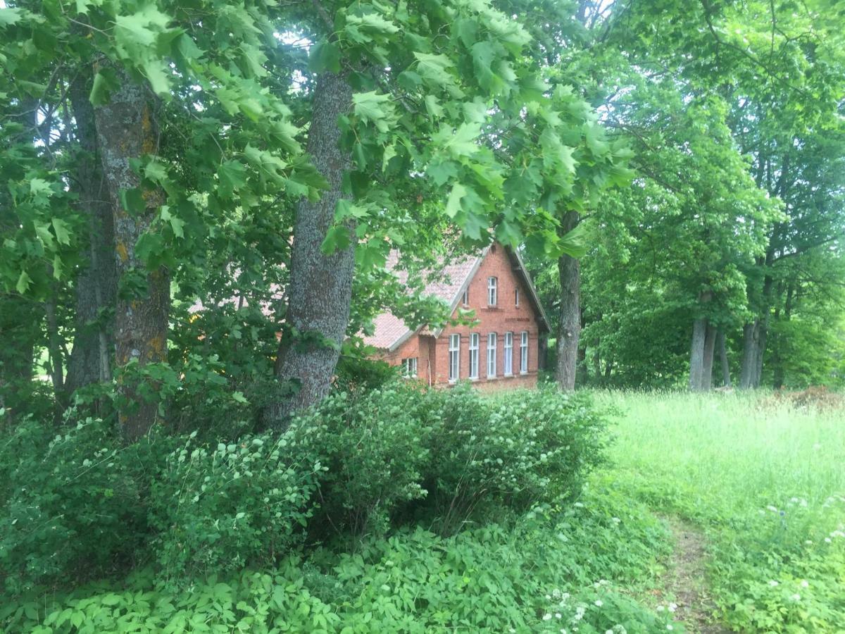 Stara Szkola Nad Jeziorem Czarne  エクステリア 写真